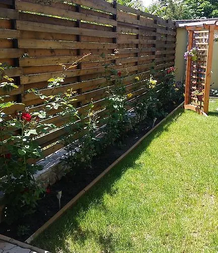 Rosiem House 3* Techirghiol